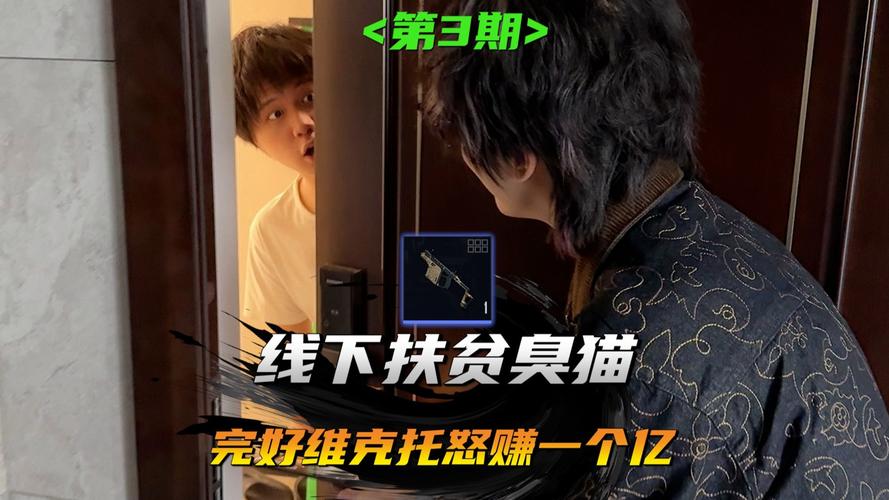 臭猫扶贫日记(全集)