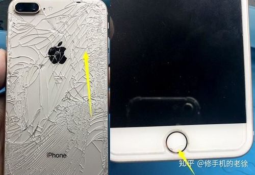 苹果8plus坏了指纹键可以修吗