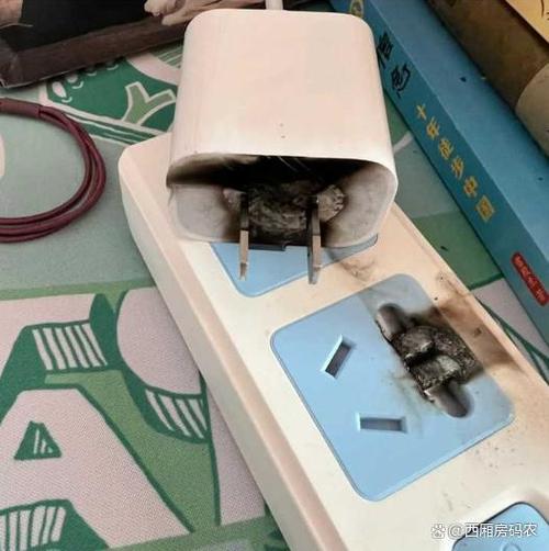 苹果手机充了一夜没拔