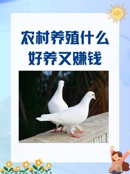现在搞养殖养什么前景好
