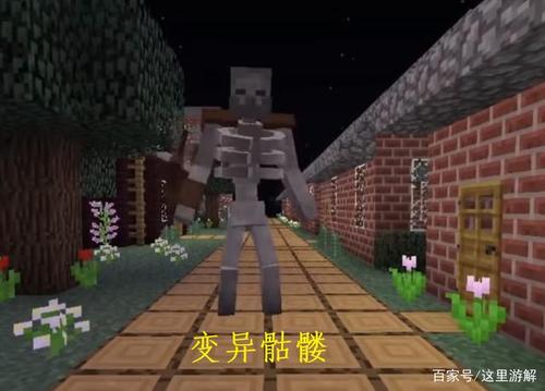 骷髅为什么叫小白