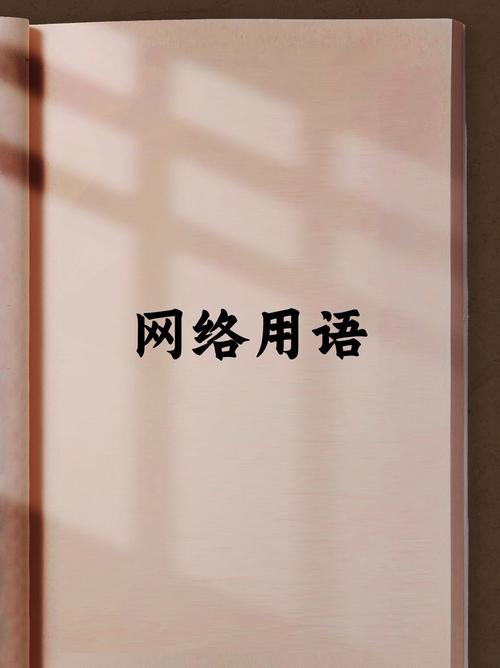 网络语清水什么意思