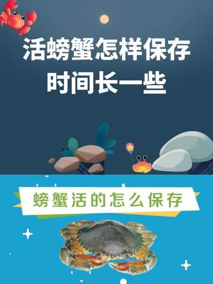 螃蟹如何存放时间长一点