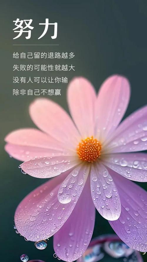 正能量人生励志短句