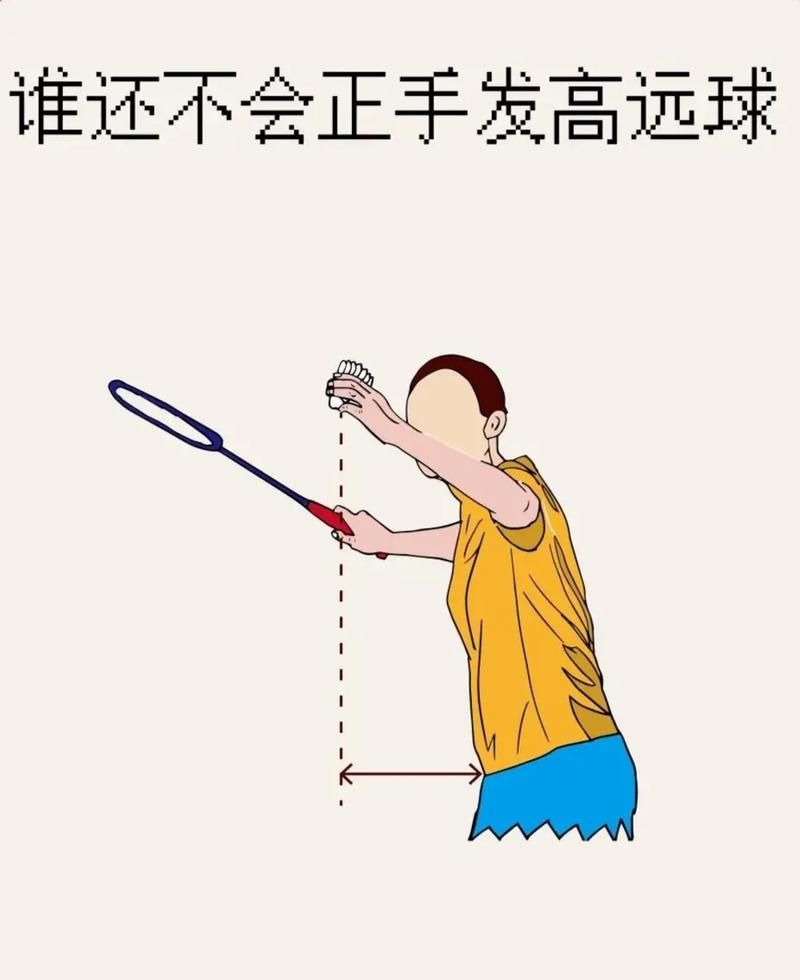 羽毛球高高手网页版