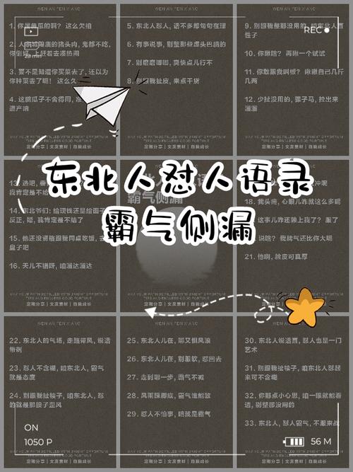 东北散磕骂人小本
