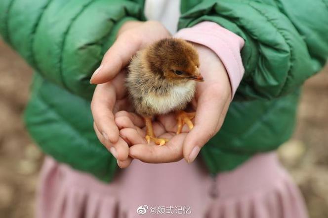 一一小一一的