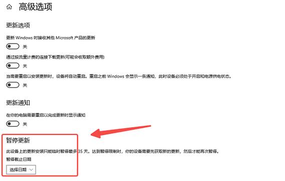 windows10停止更新时间截图2