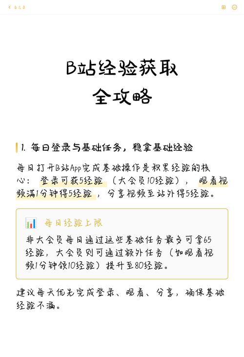 b站会员经验怎么升才最快截图3
