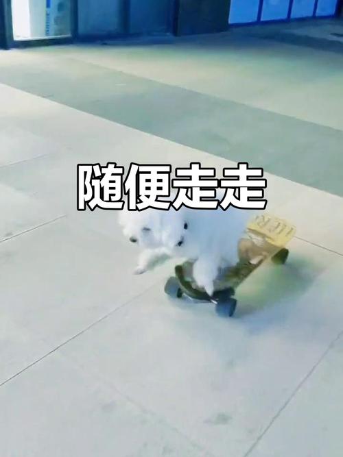溜溜达达啥意思截图3