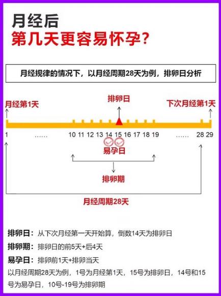 月经干净后4-5天容易怀孕吗
