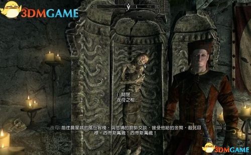 上古卷轴博物馆之夜画像在哪