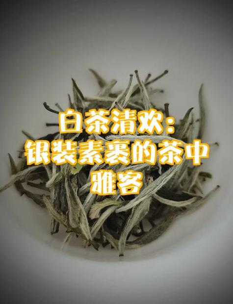 清欢茶是什么茶截图3