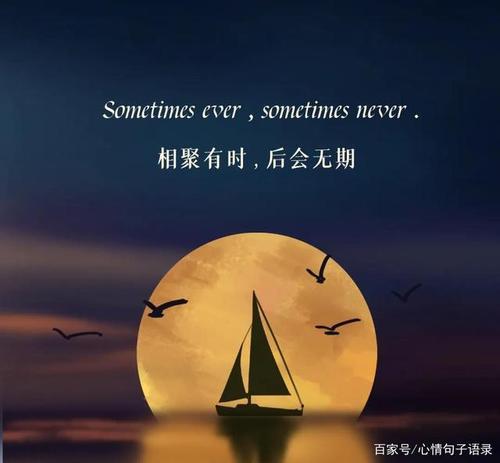 秒赞的经典语录