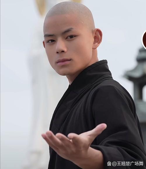 妙手小药农之洪小天
