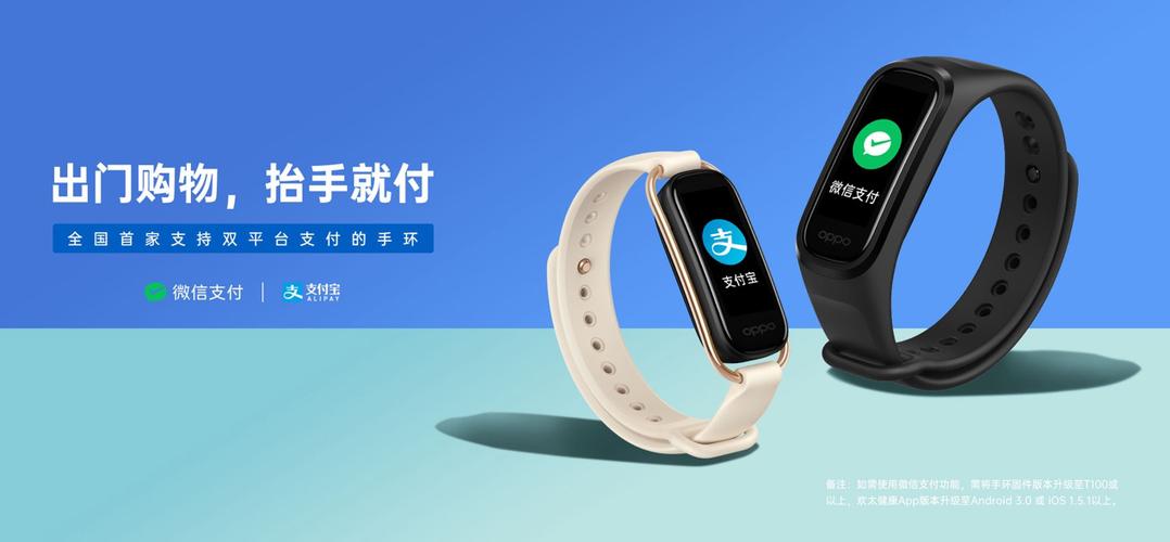 手环和支付宝同步