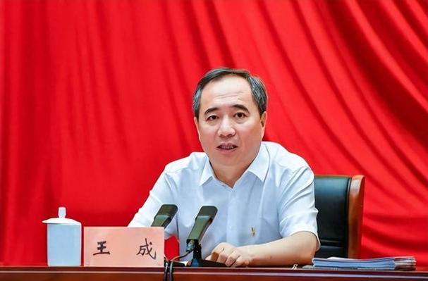 吉林省委办公厅王成公示