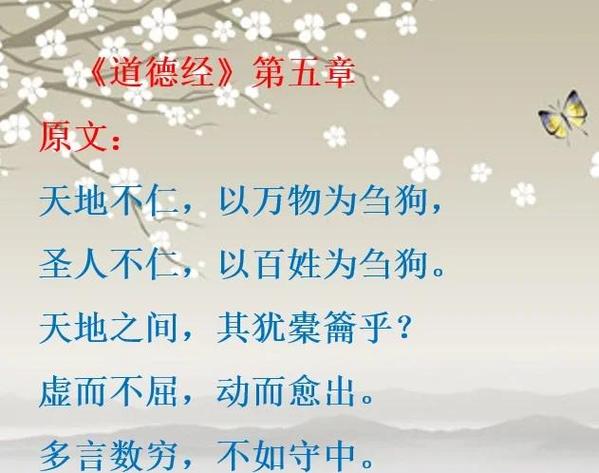 老子不嫁老子是男的全文阅读 老子不嫁老子是男的全文阅读