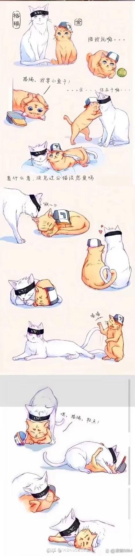 all澄团宠