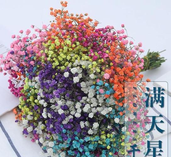 满天星花的爱情句子