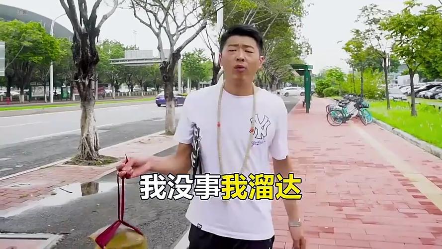 没事我溜达 快手