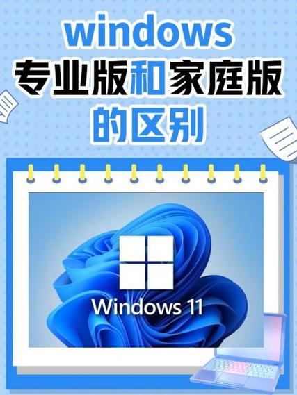 windows 11家庭版和专业版哪个安全