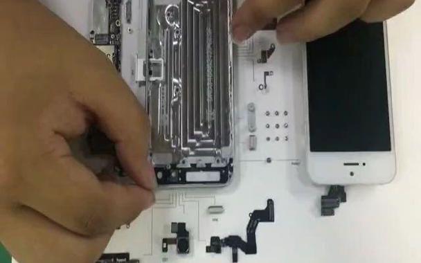手机标本制作流程