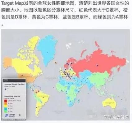 维基揭秘中国能看吗