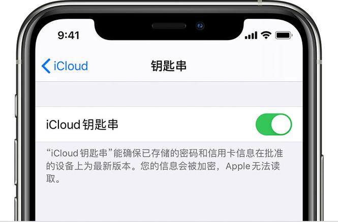 苹果怎么保存密码钥匙串