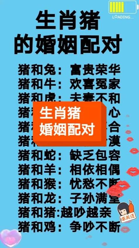 95年的猪和什么属相最配