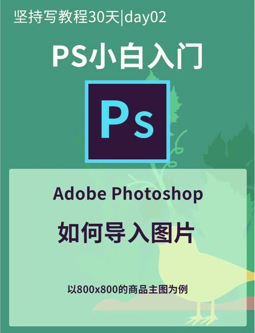abr文件怎么导入ps