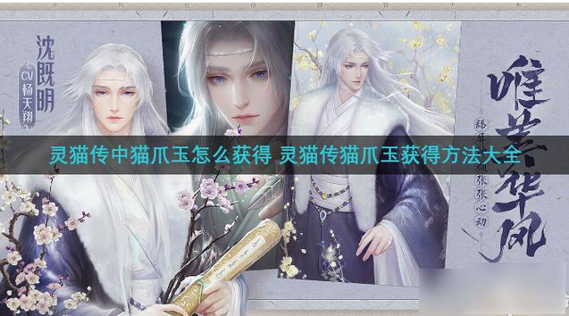灵猫传内购破解版无限猫爪玉截图2