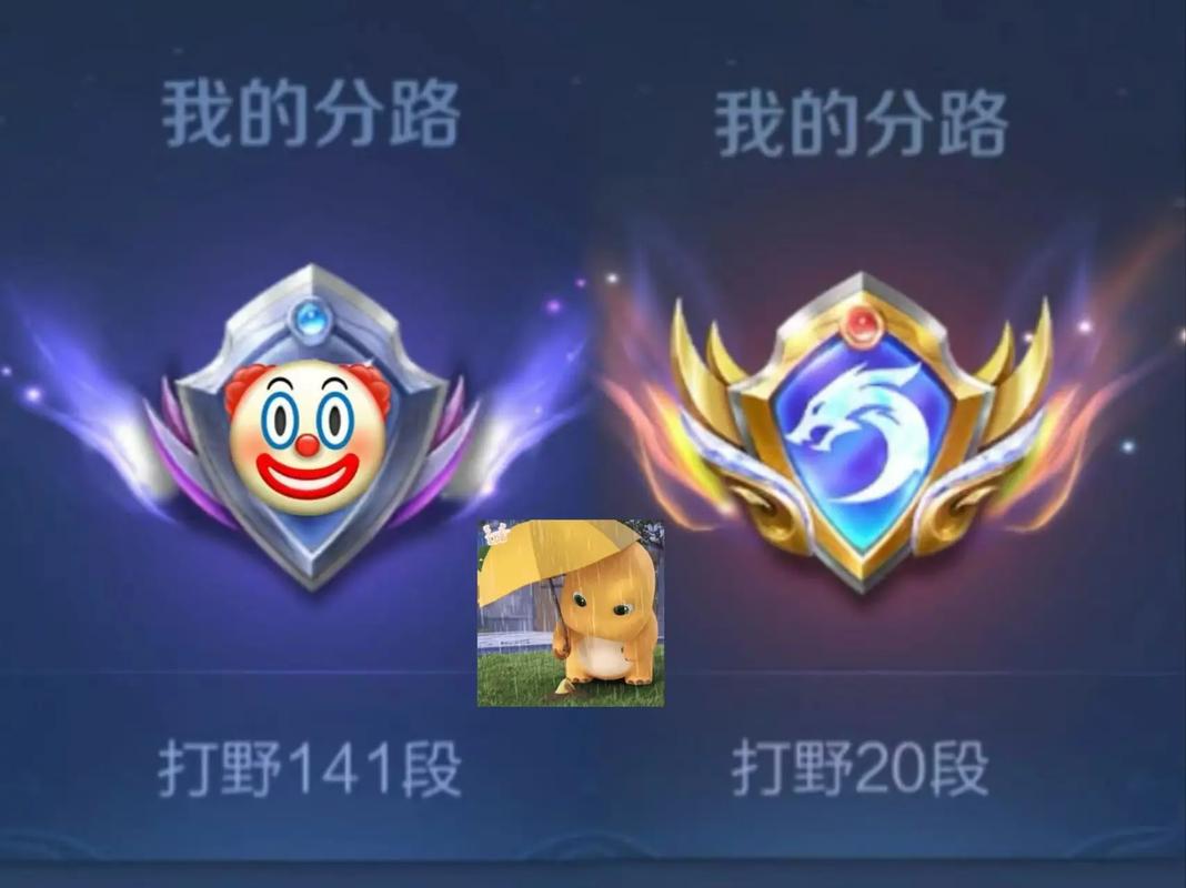 王者巅峰赛想玩分路
