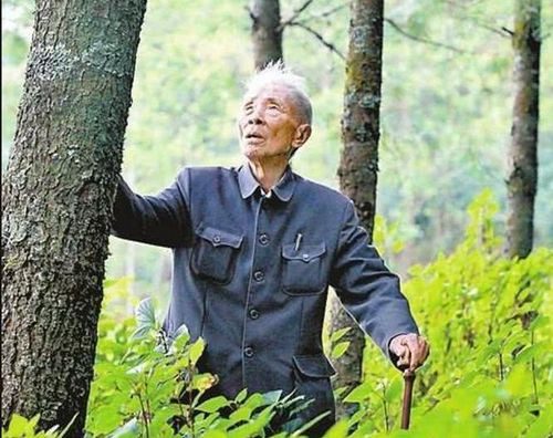 中国植树之父