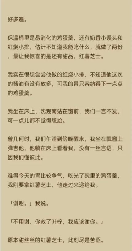 孟念一沈观南小说免费