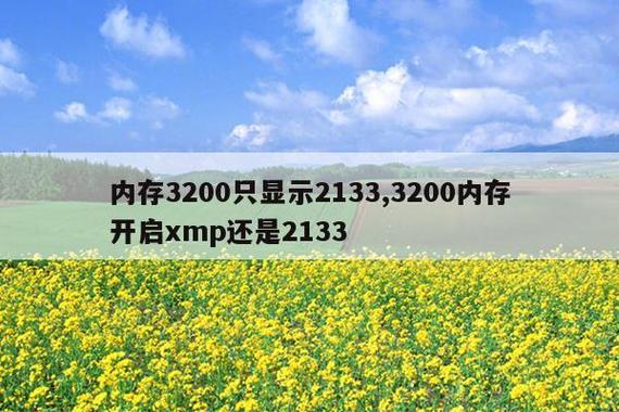 内存3200只显示2133