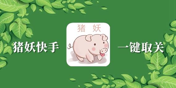 快手猪妖一键取消点赞