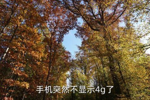 手机上突然不显示4g