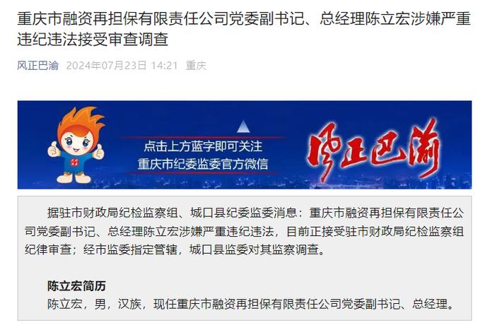 重庆市不动产融资担保有限责任公司