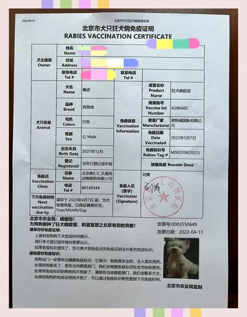 宠物三证是哪三证?