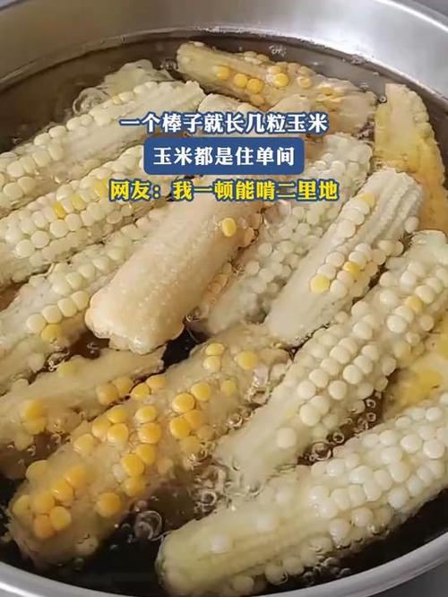 我玉米你玉米几