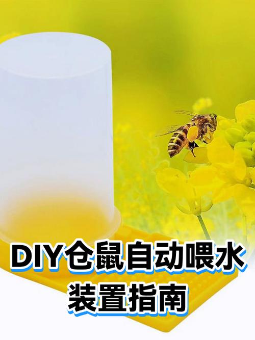 没有喂水器怎么给仓鼠喂水