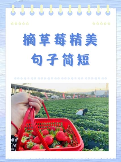 怎么把草莓心挖出来