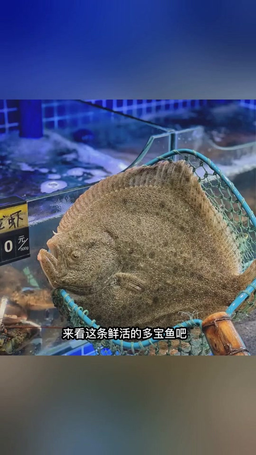 买多了鱼怎么保存才好