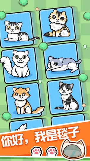 下载养猫达人