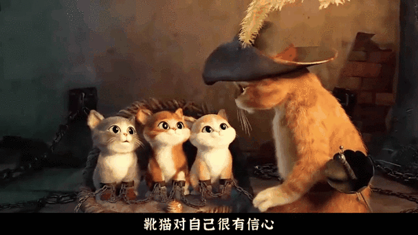 《猫》视频