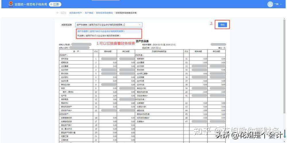 资产负债表在电子税务局怎么查看