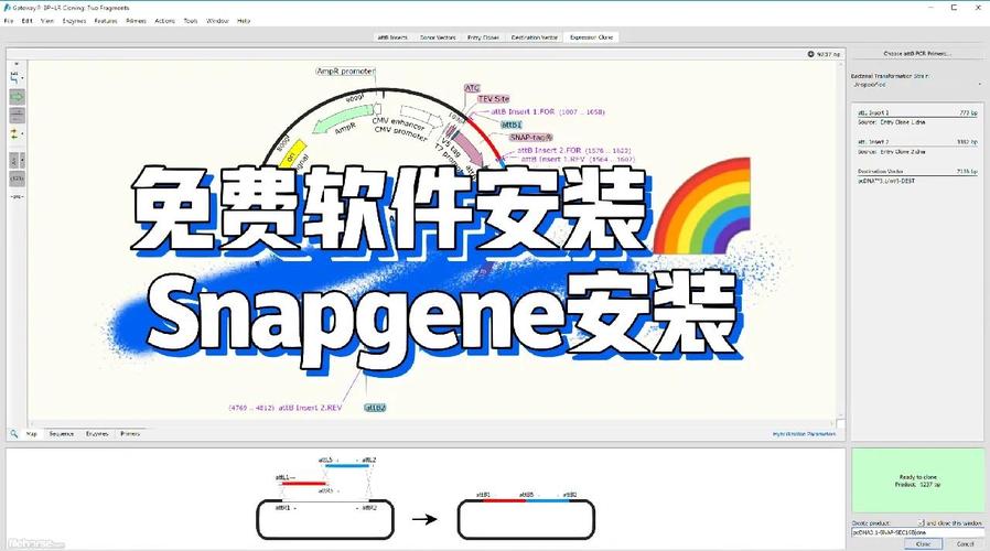 preevision软件破解