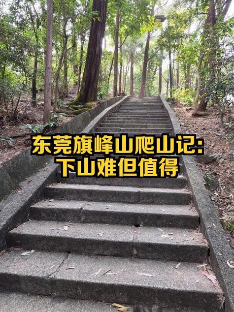 爬山的感悟与收获
