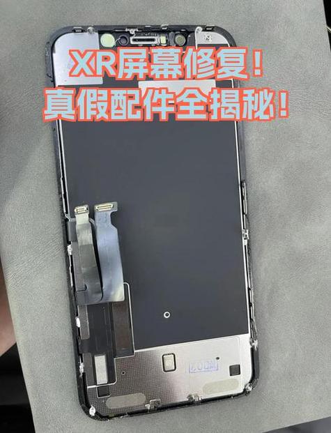 苹果xr点击屏幕没反应